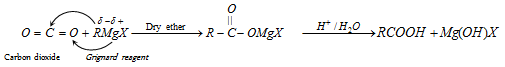 12_monocarboxylic acid3.png